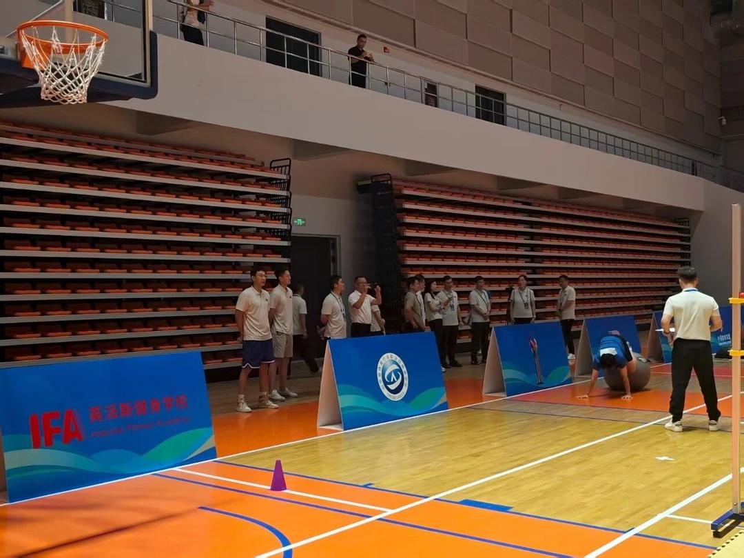 领队及裁判, 保障厅职业