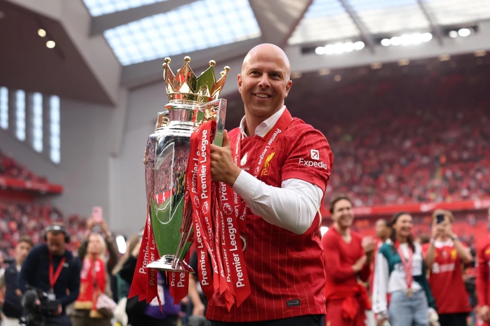 致力于加强 致力于加强