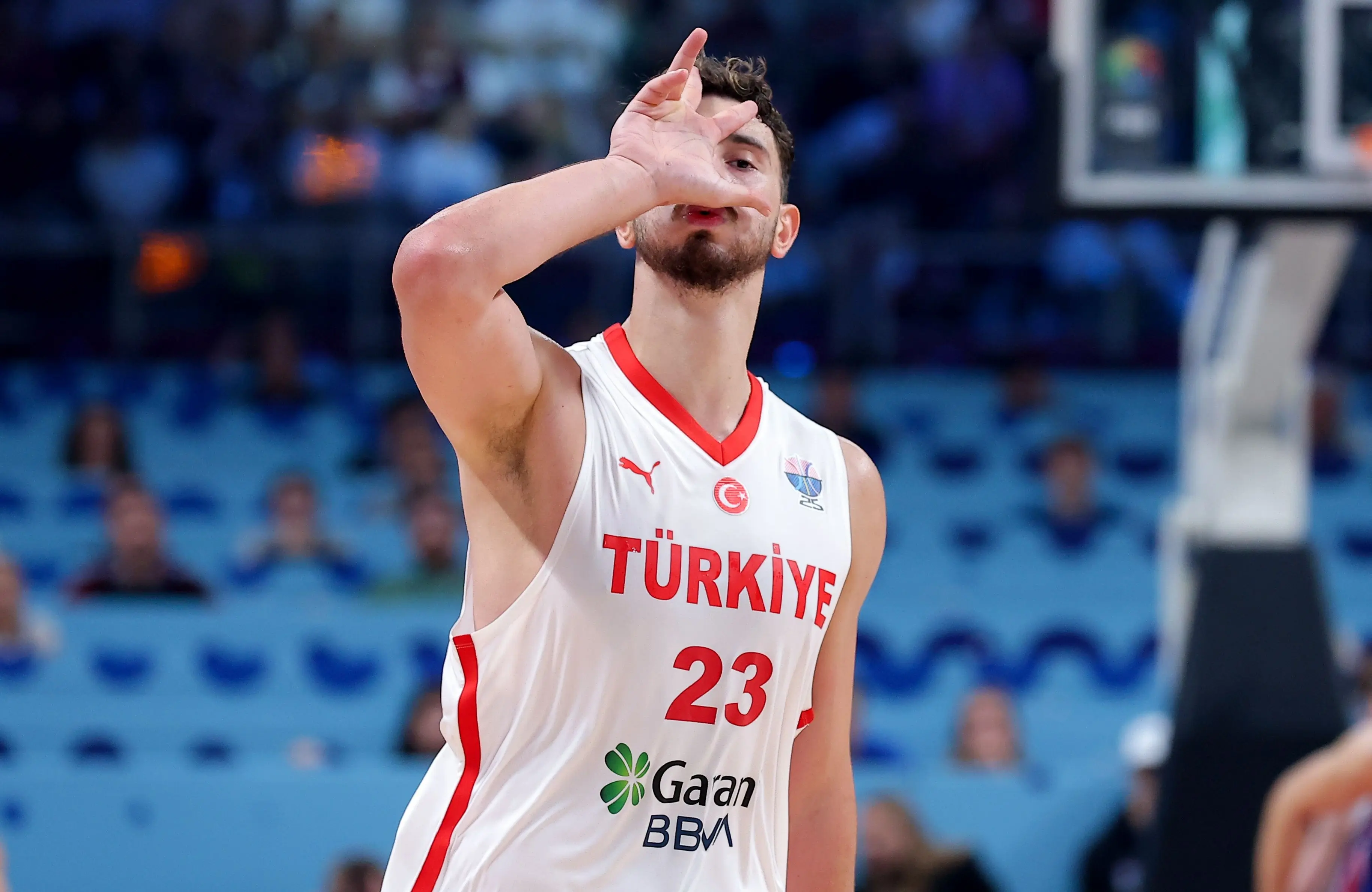 再抢一个篮, 先生, 是欧锦赛历