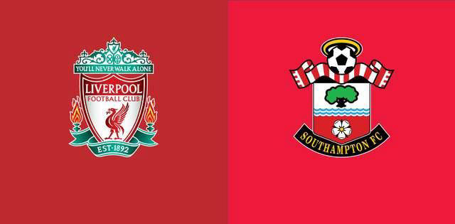 南安普顿目 南安普顿目